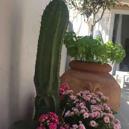 아파트 Casa Sorriso